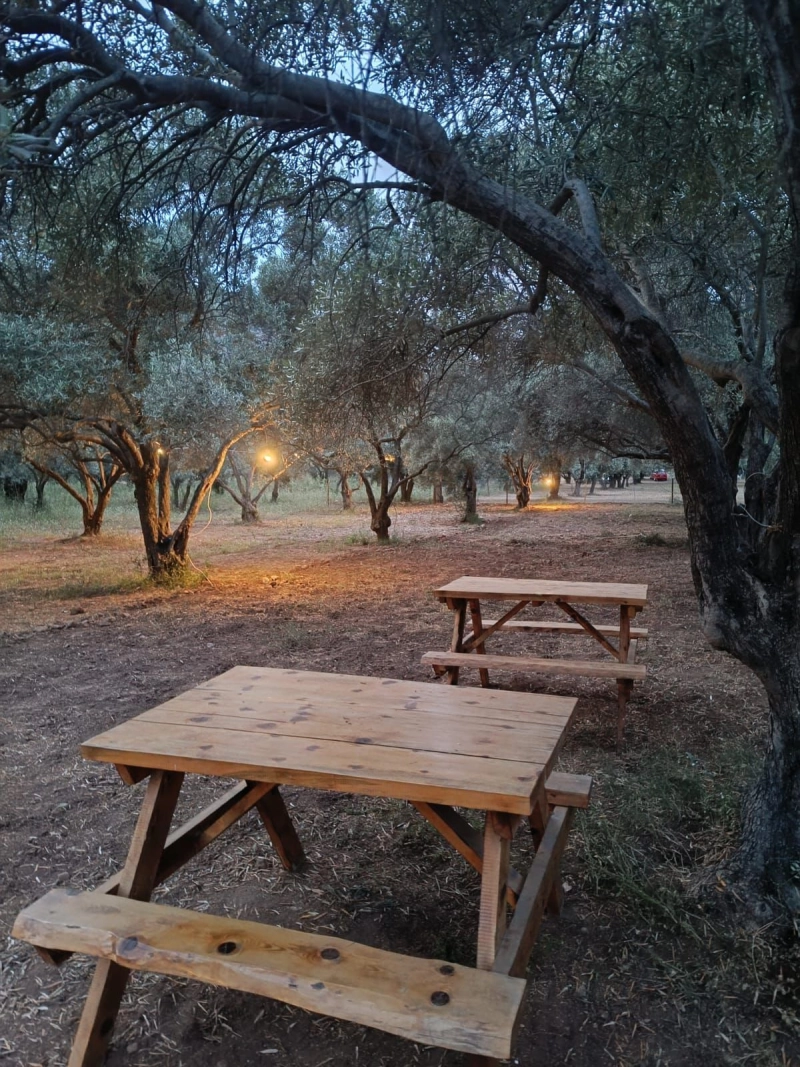 Ekincik Dc Camping